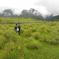 Trekking el Valle de Los Cóndores, Tarija