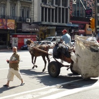 Horse-and-cart Waste Removal